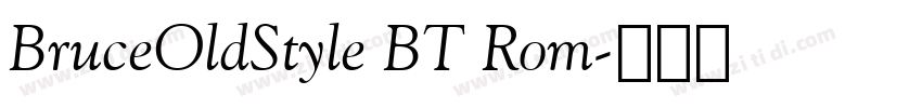 BruceOldStyle BT Rom字体转换